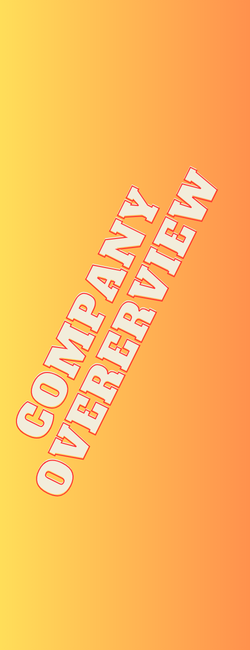 company overerview